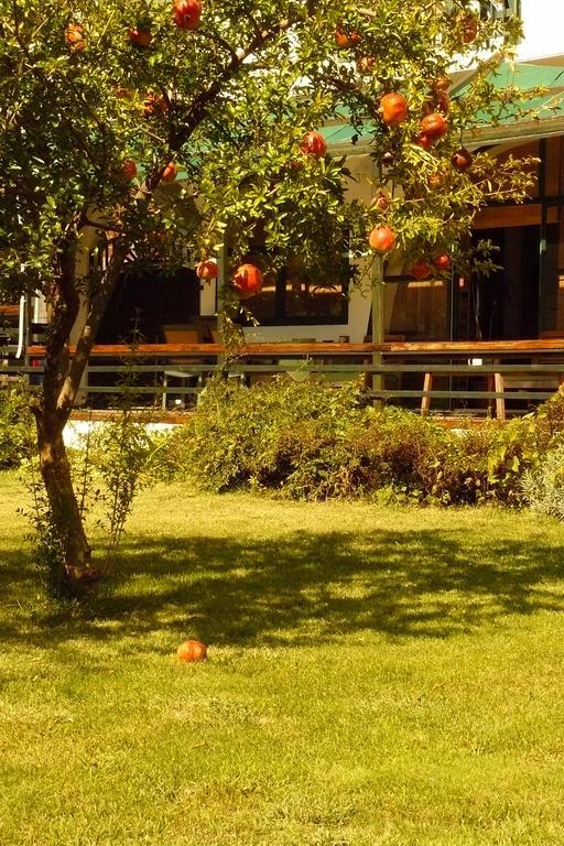 Trogirsunset Apartments Zewnętrze zdjęcie